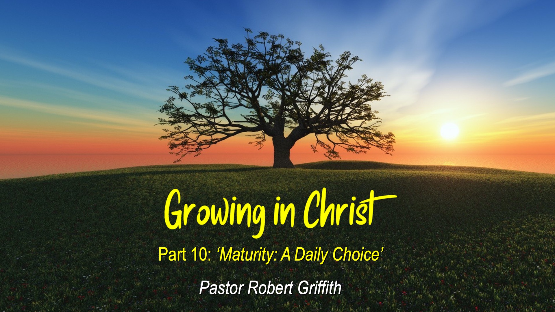 Growing in Christ (10)‘Maturity: A Daily Choice’