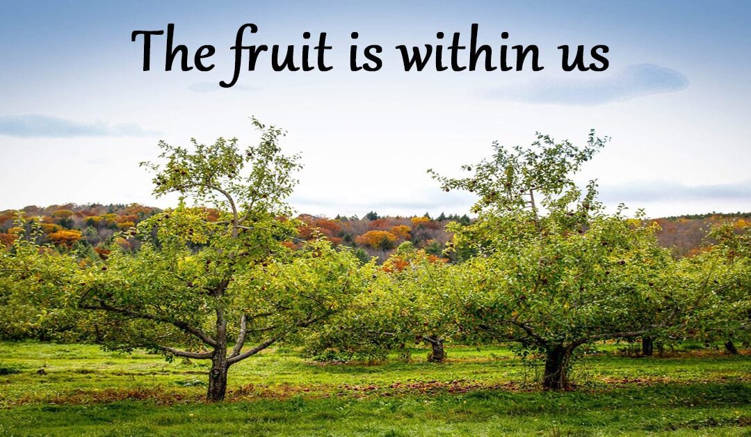 The Fruit is Within us