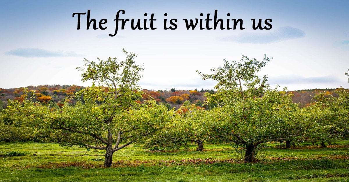The Fruit is Within us