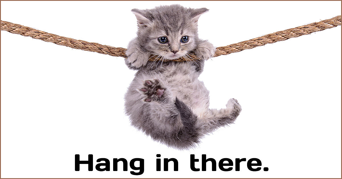 Hang in there …