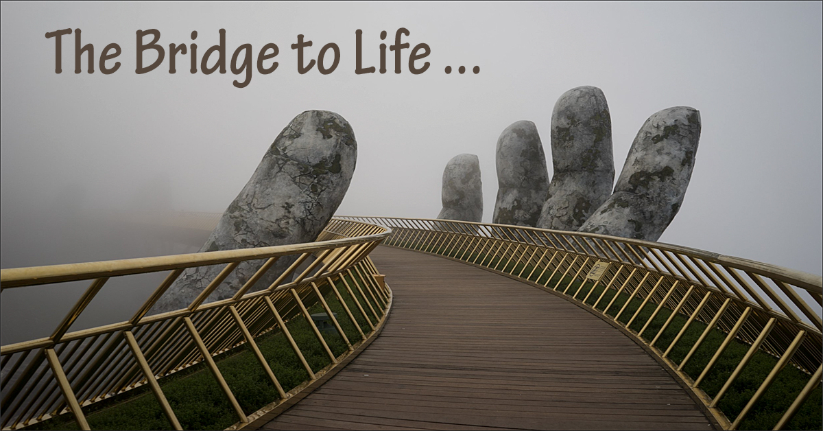The bridge to life…